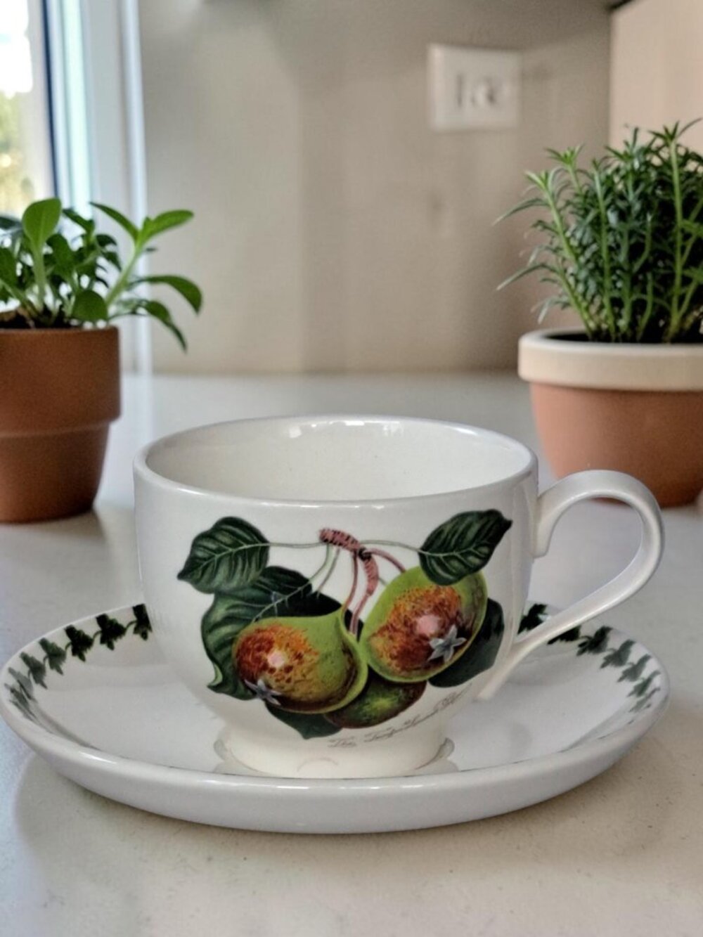 Portmerion Pomona Traditional Teiton Squash Pear Cup And Saucer